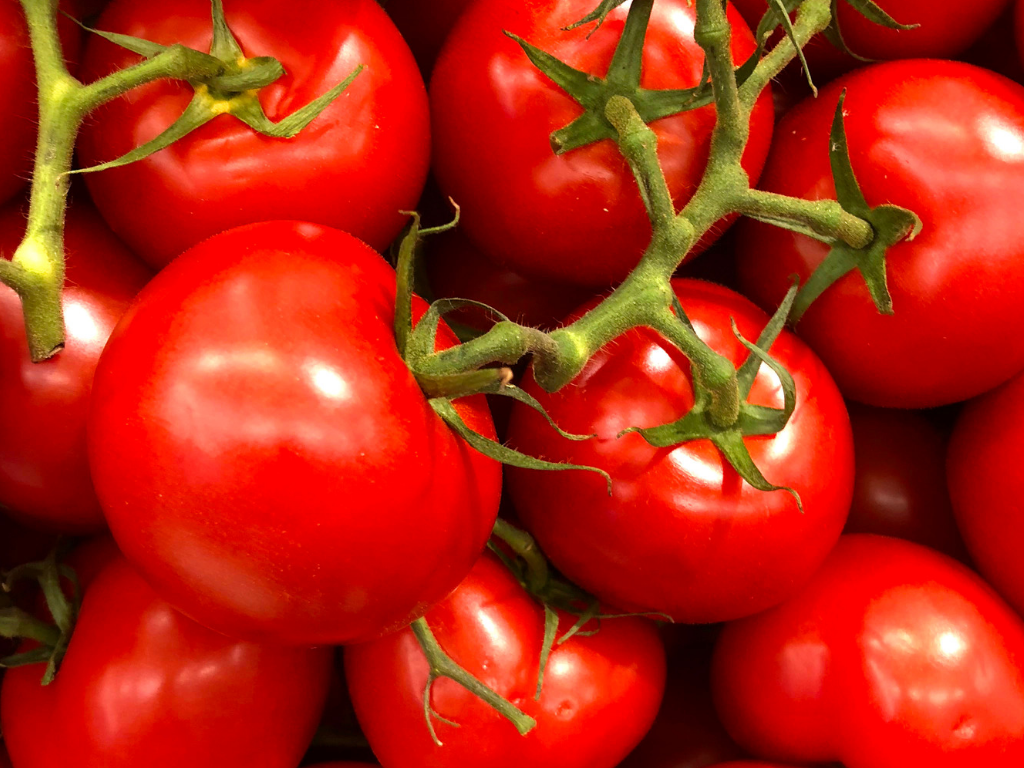 Tomato